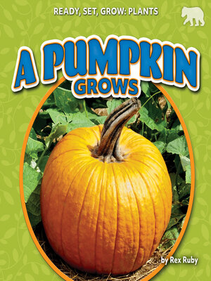 cover image of A Pumpkin Grows